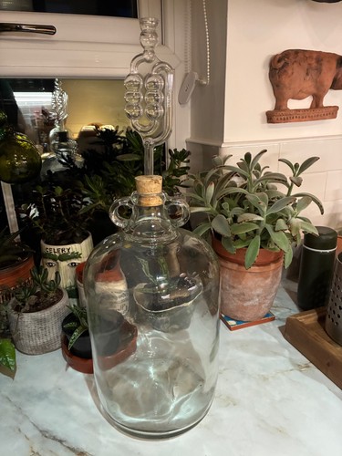 Demijohn wine mead home brew - wine/mead/home,