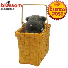 A488RB Wizard of Oz Dorothy