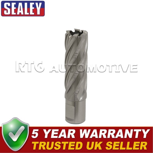 Sealey worksafe 21mm - 21mm, hss