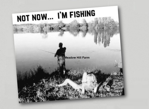 Sticker fishing adult humour - fishing,