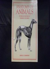 Anatomy of Animals: Studies in