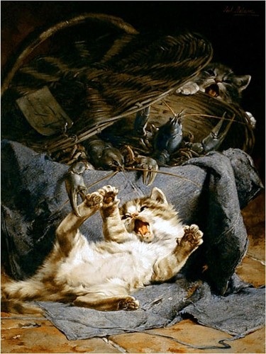 Two young cats playing with - two,
