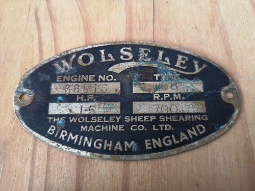 The wolseley sheep shearing - wolseley,