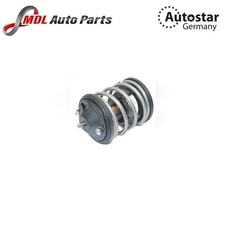 AutoStar Germany Thermostat