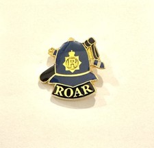 New ROAR Police Pin Badge"Recognising Our Ability to Recover". helmet & batons
