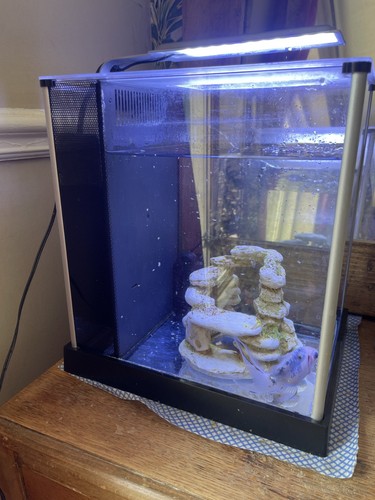 Fish tank fluval - fluval,