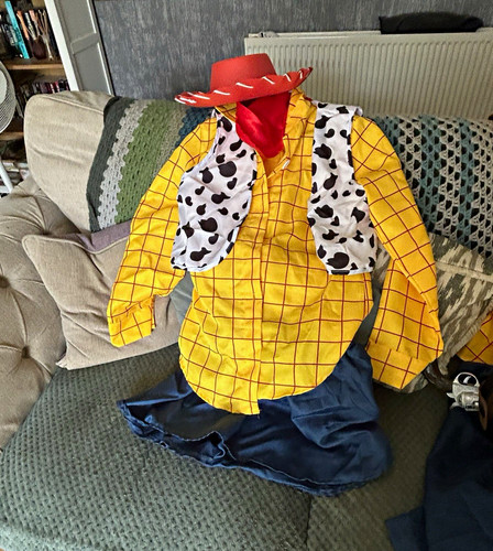 Jessie toy story - story, fancy