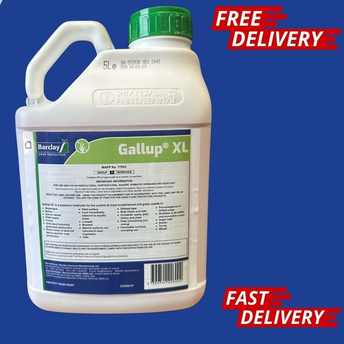 Gallup professional - gallup, xl