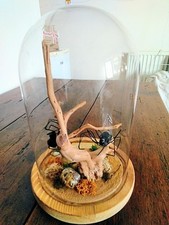 Black widow spider folk art - widow,