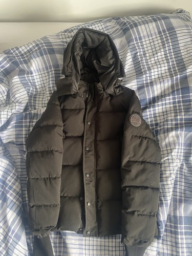 Canada goose black - goose, badge