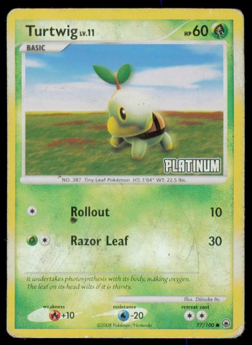 Turtwig 077 100 promo - 077/100, burger