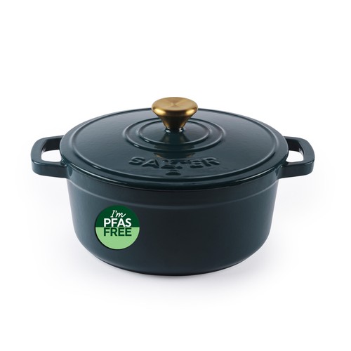 Salter chester casserole - chester,