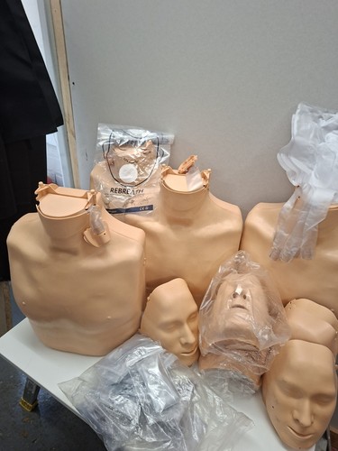 Resusi annie mannequins - annie,
