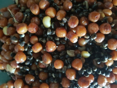 Prepared hemp maples - &,