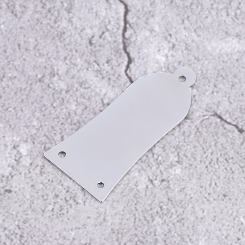 Metal truss rod - 1,