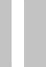 Twin 4mm 2mm flat silver - flat,