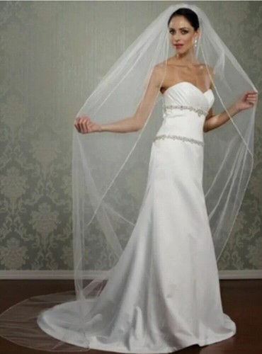 Brides bridal cathedral veil - bridal,