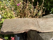 49cm LONG FLAT ish DRIFTWOOD