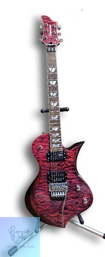 Fernandes ravelle elt - ravelle,
