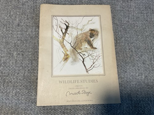 Wildlife studies vintage - studies,
