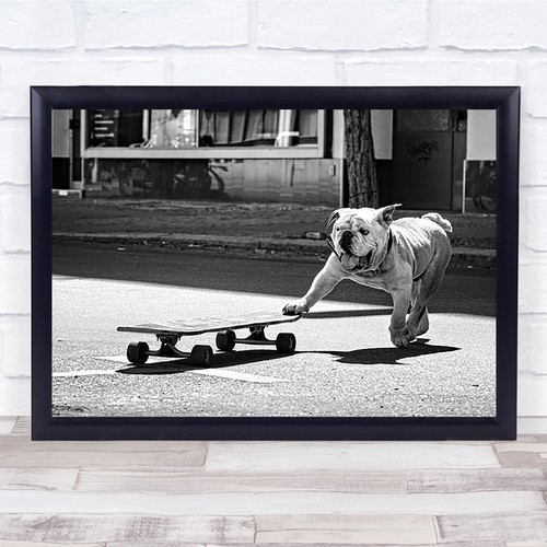 Dog animal street skateboard - street,