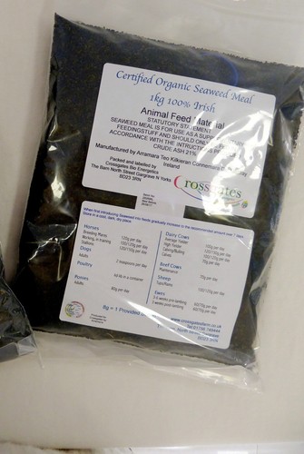 Seaweed - , approved)