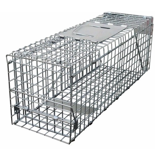 Squirrel trap heavy duty - trap,