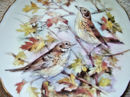 Royal albert england - royal, porcelain