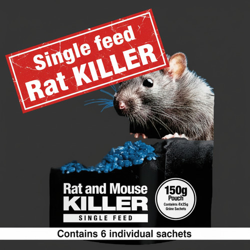 Rat poison mouse - rat, most