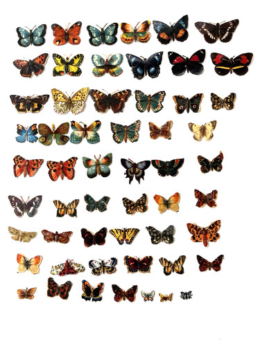 Victorian scraps butterflies - victorian, x
