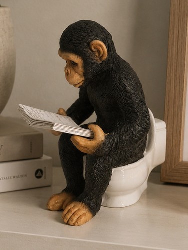 Loo time reading - time, book