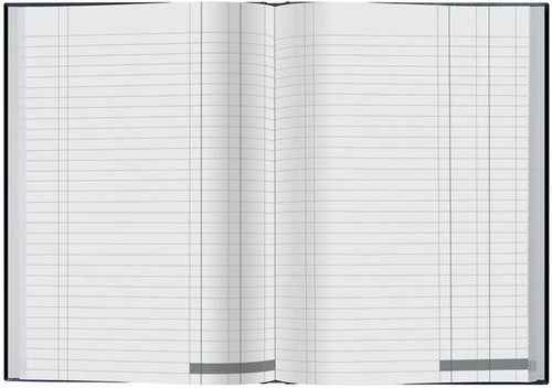 Double cash book collins - a4,