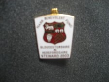 MBF STEWARDS JEWEL -