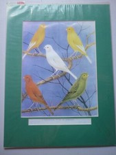 "A Champion Team of Borders"