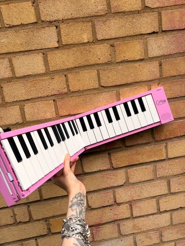 Carry in pink - carry-on,
