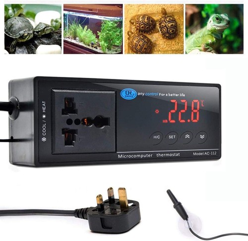 Reptile thermostat terrarium - reptile, thermostat,
