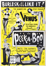 JOB LOT OF 5 VINTAGE BURLESQUE POSTERS BETTIE PAGE ZORITA ETC LAMINATED PRINTS