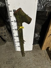 Blackthorn Shillelagh  Huge