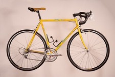 Daccordi Unico - 57cm