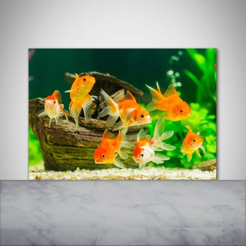Tulup kitchen glass splashback - kitchen,