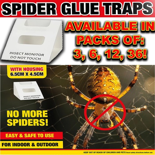 Spider killer traps - 🕷️spider,