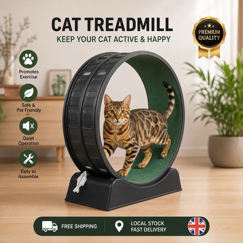 Cat exercise wheel 80cm silent - exercise,
