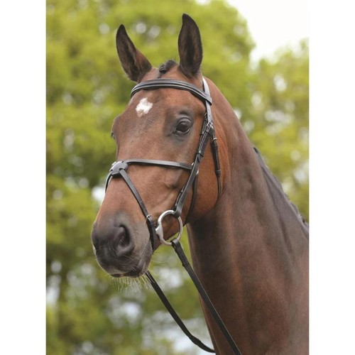 Kincade grackle bridle - kincade, ii