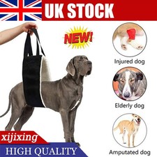UK Pet Dog Mobility Aids
