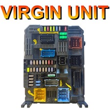 Citroen Peugeot BSI Delphi | 9819851280 | BSI-EL3 | Virgin Unit