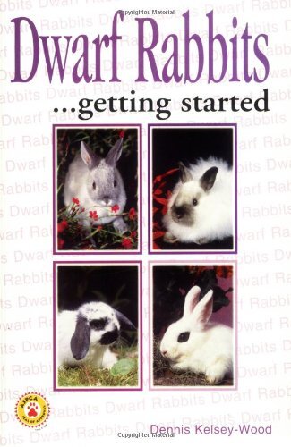 Dwarf rabbits hobby - as,