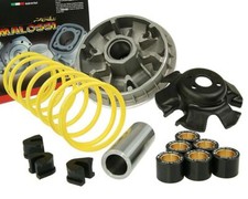 Variomatic Malossi Multivar 2000 PGO BUGRIDER 250 VARIO DRIVE SUIT SCOOTER -