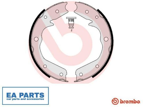Brake shoe set parking - shoe, set,