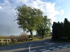 Photo A1 Oxcroft Bank meets