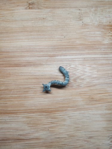 Skaven rat ogre plastic - ogre, tail